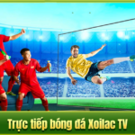 Trực tiếp bóng đá TV: Tận hưởng từng khoảnh khắc